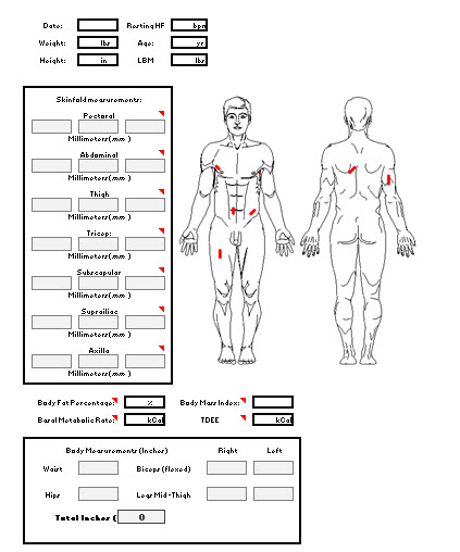 calculating body shape