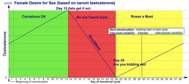 Testosterone-and-Female-Sex-Drive