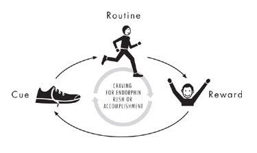 Cue Routine Reward Running - Charles Duhigg
