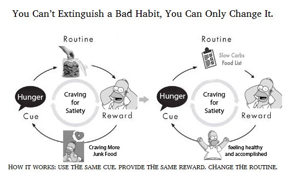 The-4-Hour-Body-Habit-Loop---Slow-Carb-Diet
