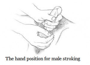 The Hand Position For Stroking the Penis