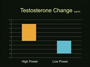 Testosterone Change with High Power Positions