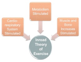Inroad Theory of Exercise